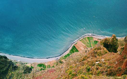 网络短信免费版