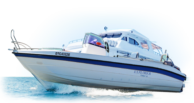 手机号轰炸平台